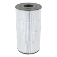 Cartouche de remplacement pour filtreur SwimClear de Hayward C200S