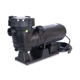 GoPool AG1 1.5 HP à 2 Vitesses - Pompe pour Piscine Hors Terre